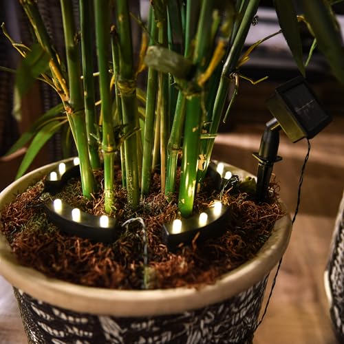 LED Solar Blumentopf Beleuchtung mit 8 Funktionen - 5er Set - Pflanzkübel Deko Leuchte warm weiß - Garten Beleuchtung Pflanzenstrahler Blumenkübel Solarleuchte Spotlight von Spetebo