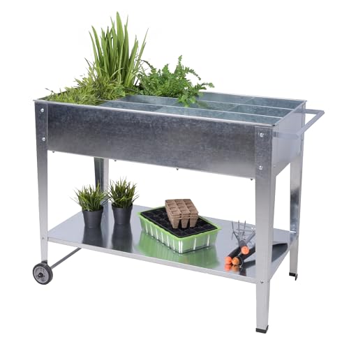 Metall Kräuter Hochbeet rollbar - 110 x 52 cm - Pflanzkasten mit 12 Einteilern und Ablage - Garten Gemüsebeet Kräuterbeet Blumenbeet mit Ablage und Fächern für Keimlinge von Spetebo