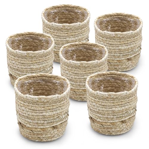 Mini Blumentopf aus Grasgeflecht 10 cm - 6er Set - Pflanzgefäß aus Naturfasern mit Folie ausgekleidet - Zimmer Pflanzen Umtopf Stroh Körbchen Seegras Flechtkorb Kräutertopf von Spetebo