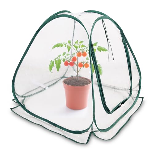 Mini Pop-Up Folien Gewächshaus 60 x 60 cm – Kleines Treibhaus für Gemüse, Blumen & Pilze – Transparentes PVC Überwinterungszelt für Pflanzen – Kein Aufbau Erforderlich von Spetebo
