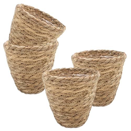 Seegras Pflanztopf Natur mit Folie 14 x 12 cm - 4er Set - Naturfaser Blumentopf zum direkten Bepflanzen - Garten Deko Weide Pflanzkorb Blumenkorb Pflanzenschale Landhaus rustikal Seegras Pflanztopf Natur mit Folie 14 x 12 cm - 4er Set - Naturfaser Blumentopf zum direkten Bepflanzen - Garten Deko Weide Pflanzkorb Blumenkorb Pflanzenschale Landhaus rustikal von Spetebo