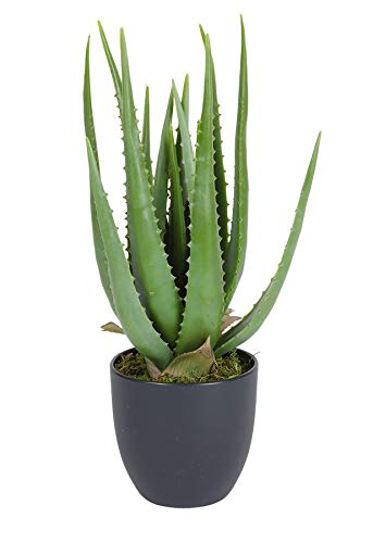 Spetebo Aloe Vera Kunstpflanze im Topf - 45 cm - Deko Pflanze Zimmerpflanze künstlich von Spetebo