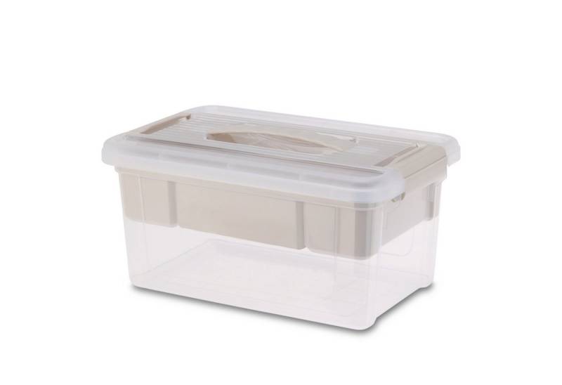 Spetebo Aufbewahrungsbox Kunststoff Sortierbox mit Tragegriff - 29 x 19 cm (Stück, 1 St., Aufbewahrungsbox), Nähkästchen mit entnehmbaren Fächern von Spetebo