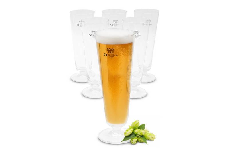 Spetebo Bierglas Bierglas 250 ml aus Klarglas - 6er Set, Glas, Bierglas 0,3 Liter spülmaschinenfest von Spetebo