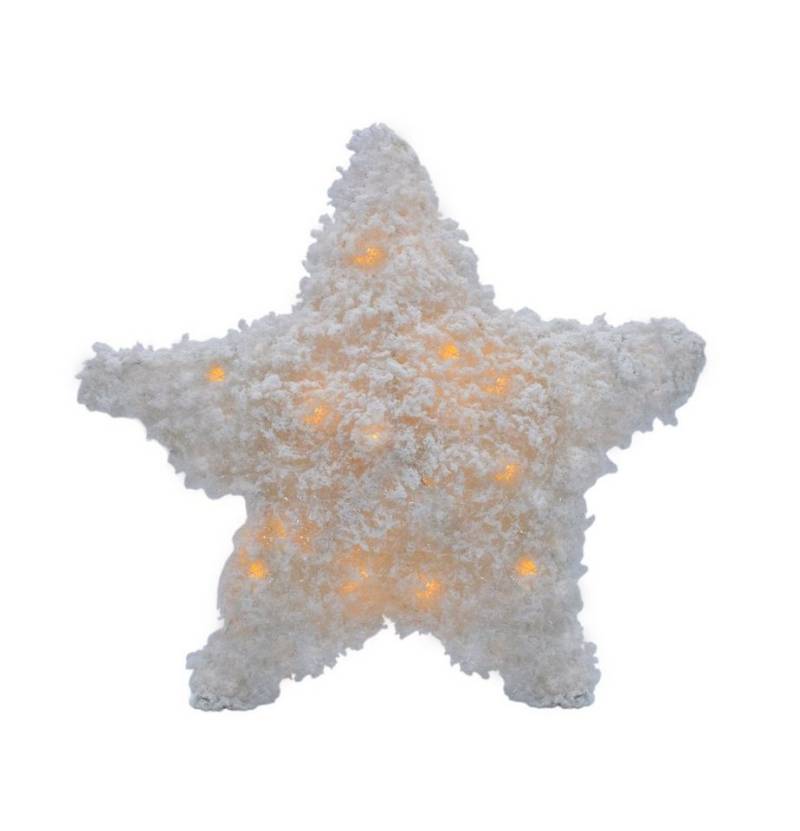 Spetebo Dekostern LED Weihnachtsstern in weiß zum Hängen 30 cm mit Timer, 1 St., Dekostern Batterie betrieben mit Timer Spetebo Dekostern LED Weihnachtsstern in weiß zum Hängen 30 cm mit Timer, 1 St., Dekostern Batterie betrieben mit Timer von Spetebo