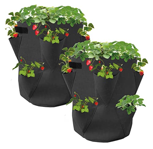 Spetebo Erdbeer Pflanzsack 2er Set aus Filz - 45 x 35 cm - Pflanzbeutel für Erdbeeren und Kleingemüse - Garten Balkon Pflanzen Tasche Sack Beutel für Erdbeeren Knoblauch Zwiebeln Kräuter von Spetebo