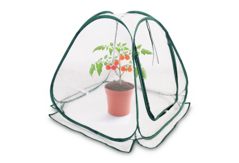 Spetebo Foliengewächshaus Mini Pop-Up Folien Gewächshaus - 60 x 60 cm, Kleines Gemüse Pilz Treibhaus Pflanzen Schutz Zelt von Spetebo