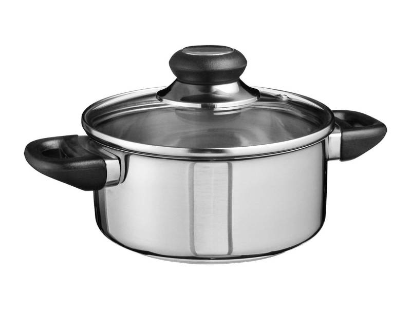 Spetebo Kochtopf Edelstahl Kochtopf mit Glasdeckel - 1,25 L, Edelstahl (Stück, 1-tlg., Topf), Universal Küchen Topf mit Griffen von Spetebo