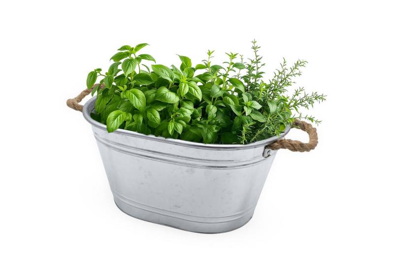 Spetebo Pflanzkübel Zinkwanne in silber mit Natur Seil Griffen (Anzahl, 1 St., Stück), wetterfestes und robustes Material von Spetebo