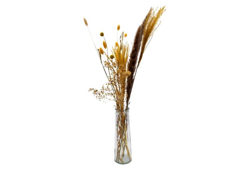 Trockenblume Bündel Pampasgras - verschiedene Ziergräser, Spetebo, Höhe 70 cm, mit Glasvase von Spetebo