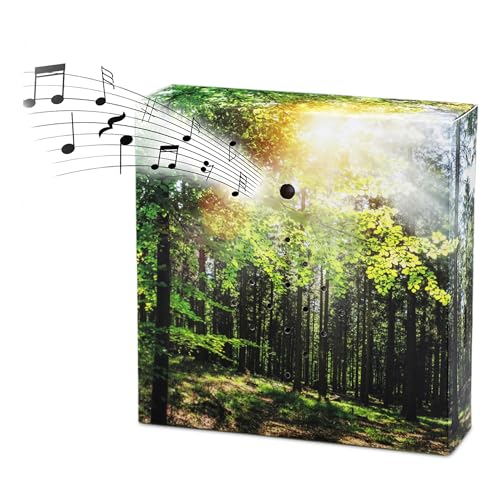 Vogelgezwitscher Soundbox mit Waldgeräuschen - 12 cm - Lautsprecher mit Vogelgesang und Waldkulisse - Deko Box mit Naturgeräuschen Vogel Sound mit Bewegungs Sensor für Bad Spa Gäste WC und Entspannung Vogelgezwitscher Soundbox mit Waldgeräuschen - 12 cm - Lautsprecher mit Vogelgesang und Waldkulisse - Deko Box mit Naturgeräuschen Vogel Sound mit Bewegungs Sensor für Bad Spa Gäste WC und Entspannung von Spetebo