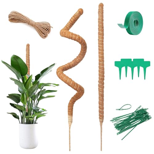 Spetsbst 2 Stück Monstera Rankhilfe 120cm Kokosstab Monstera Flexibler Moosstab mit Zubehör, Pflanzenstab für Kletterpflanzen im Innenbereich (120cm) von Spetsbst