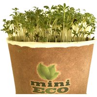 Gartenkresse Keimsprossen Microgreens Kräuter Pflanzset. Hoher Qualität Samen Enthalten, Ungefähr 4500 Kresse Samen. Bio Sprossen Keimsaat von SpiceHomey