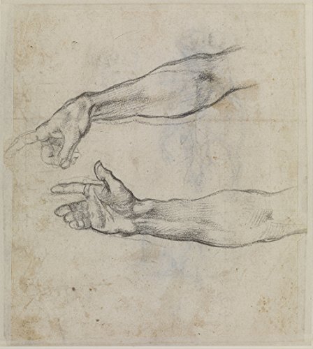 Michelangelo - The Drunkenness of Noah - Medium - Semi Gloss Print von Spiffing Prints