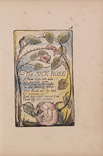 William Blake - The Sick Rose - Extra Large - Semi Gloss Print von Spiffing Prints