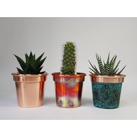 Set Aus 3 4-Zoll-Handgefertigten Soliden Kupferpflanzentöpfen/Pflanzgefäßen Set Aus 3 4-Zoll-Handgefertigten Soliden Kupferpflanzentöpfen/Pflanzgefäßen von Spin360Shop