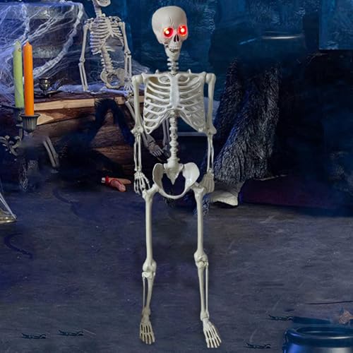 170 cm Skelett Halloween Dekorationen, 5.4F Realistisches Ganzkörper Bewegliche Bewegliche Gelenke Skelett Gruseliges Halloween Kunststoff Skelett für Friedhofsdekorationen, Spukhaus Requisiten von SpirWoRchlan