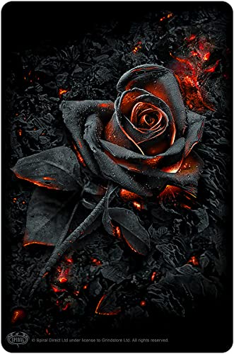 Spiral - Burnt Rose - Gru?karten aus Blech - L von Spiral