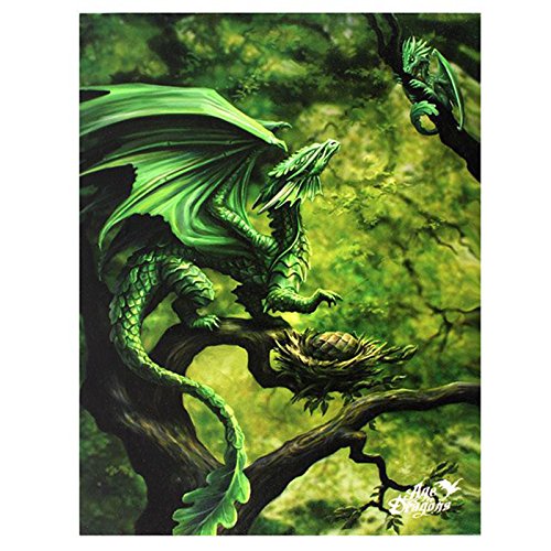 Anne Stokes Leinwandbild, Motiv: Wald-Drache, Age of Dragons von Spirit of Equinox