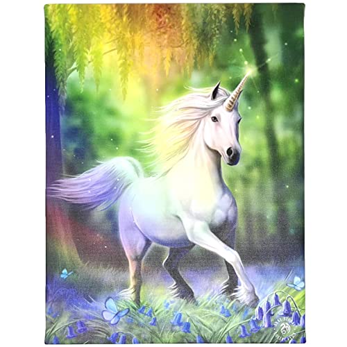 Spirit of Equinox Anne Stokes Plakette "Chase The Rainbow Einhorn", Fantasy-Kunst, Wandbehang, Leinwand, 26 x 19 cm von Spirit of Equinox