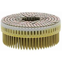Spit - Box von 9750 cnp-in zen gezahnt 2.5 x 50 mm Standard 312374 von Spit