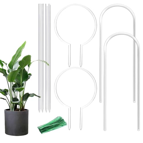 Spizummp Acryl-Spalier | U-förmiges Acryl-Pflanzenspalier für den Innenbereich, runde dekorative Stielstütze, Zimmerpflanzenpfähle, transparenter Käfighalter für Gemüse, Blumen, Zuhause Spizummp Acryl-Spalier | U-förmiges Acryl-Pflanzenspalier für den Innenbereich, runde dekorative Stielstütze, Zimmerpflanzenpfähle, transparenter Käfighalter für Gemüse, Blumen, Zuhause von Spizummp