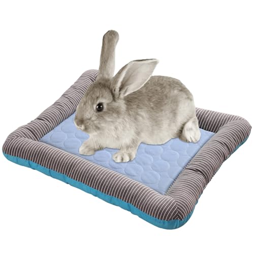 Spizummp Kühlmatte für Hunde, Eiskissen Isomatten, verschleißfeste Katzenkühlhütte Isomatte für mittelgroße Hunde, Welpen, Kaninchen, Kleintiere Spizummp Kühlmatte für Hunde, Eiskissen Isomatten, verschleißfeste Katzenkühlhütte Isomatte für mittelgroße Hunde, Welpen, Kaninchen, Kleintiere von Spizummp
