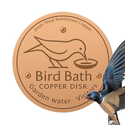 Spizummp Reinigungsscheibe für Vogeltränke – Metallreinigerscheiben | -Unterstützungs-Reinigungsplatte für sicheres sauberes Wasser für alle Jahreszeiten im Freien Rasen Garten Spizummp Reinigungsscheibe für Vogeltränke – Metallreinigerscheiben | -Unterstützungs-Reinigungsplatte für sicheres sauberes Wasser für alle Jahreszeiten im Freien Rasen Garten von Spizummp