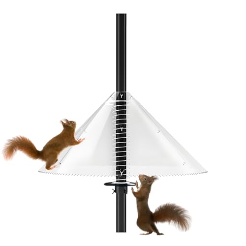 Spizummp Vogelfutterstation Eichhörnchen Baffle – Outdoor Eichhörnchen Baffle – Vogelfutterstation Schutzgerät klar für Outdoor Hof Garten Hof Park Spizummp Vogelfutterstation Eichhörnchen Baffle – Outdoor Eichhörnchen Baffle – Vogelfutterstation Schutzgerät klar für Outdoor Hof Garten Hof Park von Spizummp
