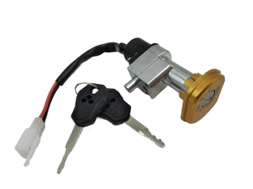 Universal 2 Draht A393 Motorradzündungsschlüsselschalter Eins Schlüsselsperrung kompatibel mit elektrischen Teilen(1 Stück Preis) von Spnqkxw