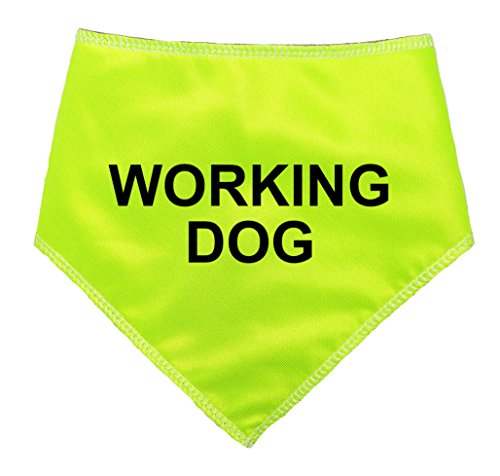 Spoilt Rotten Pets (S1) Arbeiten Hund – Hi Viz Reflektierende, ein extra großer ST BERNARD (Größe 1 Tiny/Miniatur Hund – passt auf 17,8 cm-25,4 cm Hals) von Spoilt Rotten Pets