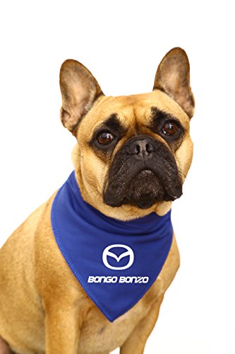 Spoilt Rotten Pets (S2 blau Mazda Bongo FRIENDEE, Bongo Bonzo Dog Bandana (Small, Blau) von Spoilt Rotten Pets