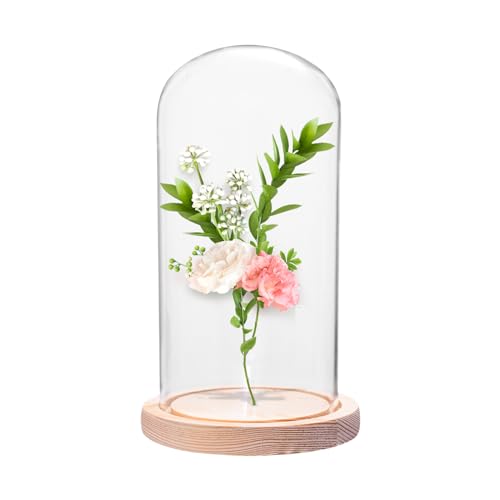 Sporgo Glaskuppel Glasglocke mit Holzboden: 10x16cm Glasglocke Deko Transparente Glasbox, Glasvitrine Klein Terrarium Deko für Ewige Rosen, Lichterketten, Puppen und Geschenke (Ø 10cm) von Sporgo