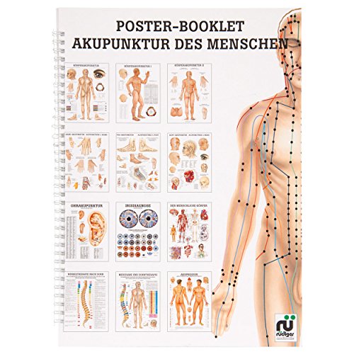 Akupunktur des Menschen Mini-Poster Booklet Anatomie 34x24 cm, 12 Poster von Sport-Tec