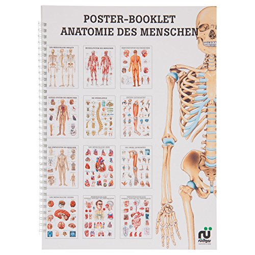 Anatomie des Menschen Mini-Poster Booklet Anatomie 34x24 cm, 12 Poster von Sport-Tec