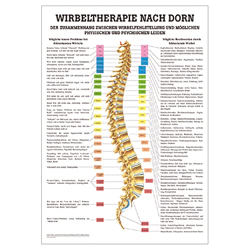 Dorntherapie Lehrtafel Anatomie 100x70 cm medizinische Lehrmittel von Sport-Tec