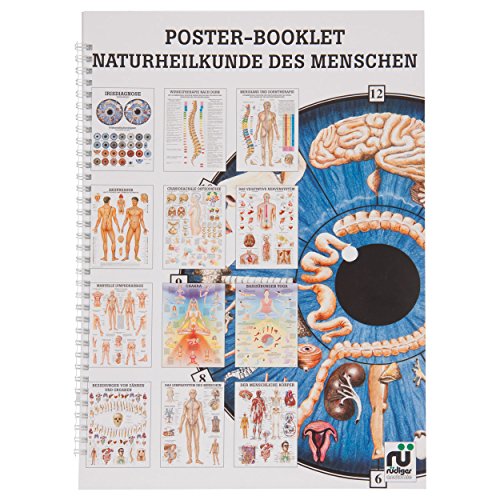 Naturheilkunde des Menschen Mini-Poster Booklet Anatomie 34x24 cm, 12 Poster von Sport-Tec