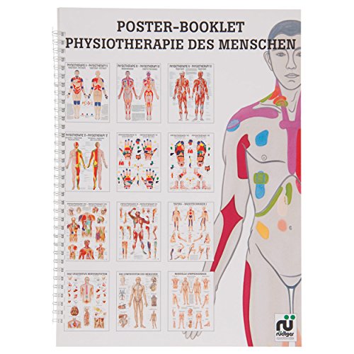 Physiotherapie des Menschen Mini-Poster Booklet Anatomie 34x24 cm, 12 Poster von Sport-Tec