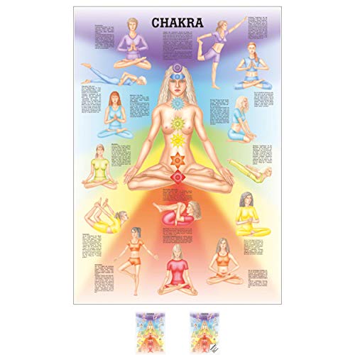 Ruediger Anatomie MIPO74 Chakra Tafel, 24 cm x 34 cm, Papier von Sport-Tec