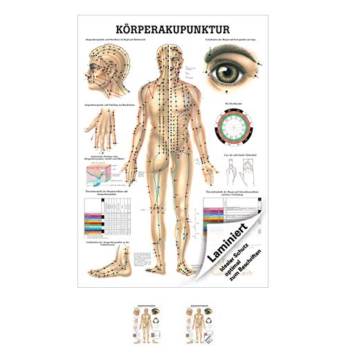 Sport-Tec Akupunktur Mini-Poster Anatomie 34x24 cm medizinische Lehrmittel von Sport-Tec