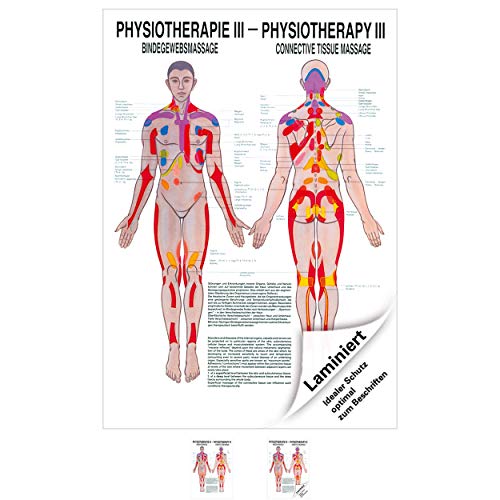 Sport-Tec Bindegewebsmassage Mini-Poster Anatomie 34x24 cm medizinische Lehrmittel Sport-Tec Bindegewebsmassage Mini-Poster Anatomie 34x24 cm medizinische Lehrmittel von Sport-Tec