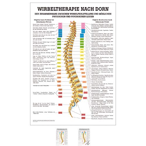Sport-Tec Dorntherapie Mini-Poster Anatomie 34x24 cm medizinische Lehrmittel Sport-Tec Dorntherapie Mini-Poster Anatomie 34x24 cm medizinische Lehrmittel von Sport-Tec