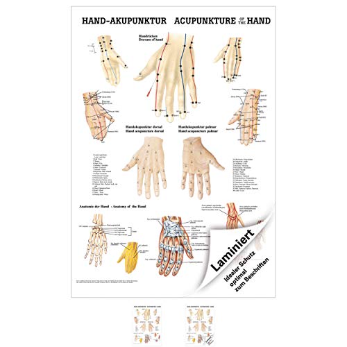 Sport-Tec Hand-Akupunktur Mini-Poster Anatomie 34x24 cm medizinische Lehrmittel von Sport-Tec