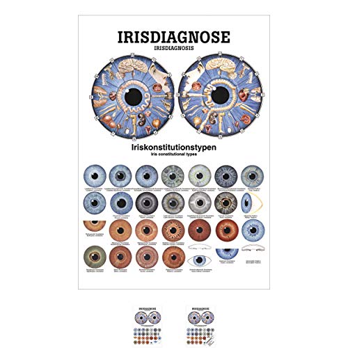 Sport-Tec Irisdiagnose Mini-Poster Anatomie 34x24 cm medizinische Lehrmittel Sport-Tec Irisdiagnose Mini-Poster Anatomie 34x24 cm medizinische Lehrmittel von Sport-Tec