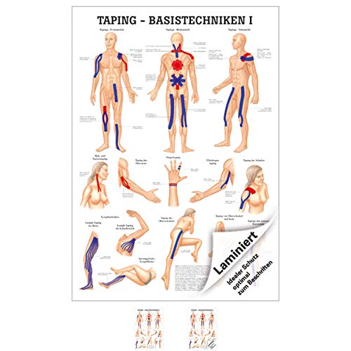 Sport-Tec Taping Basistechniken I Mini-Poster Anatomie 34x24 cm medizinische Lehrmittel Sport-Tec Taping Basistechniken I Mini-Poster Anatomie 34x24 cm medizinische Lehrmittel von Sport-Tec