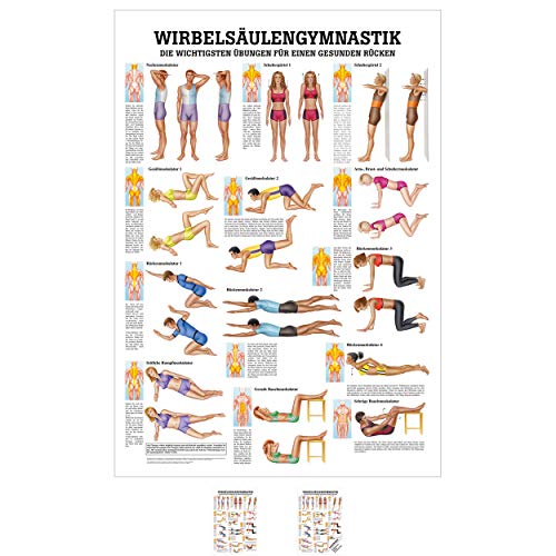 Sport-Tec Wirbelsäulengymnastik Mini-Poster Anatomie 34x24 cm medizinische Lehrmittel von Sport-Tec