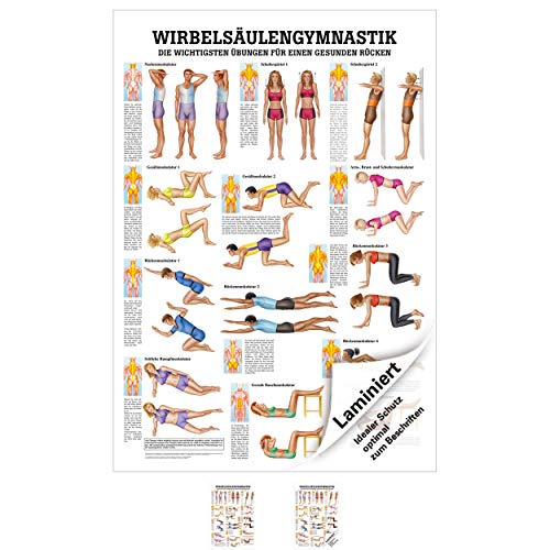 Wirbelsäulengymnastik Mini-Poster Anatomie 34x24 cm medizinische Lehrmittel von Sport-Tec