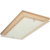 SPOT Light Deckenleuchte Finn 4032960 von Spot Light