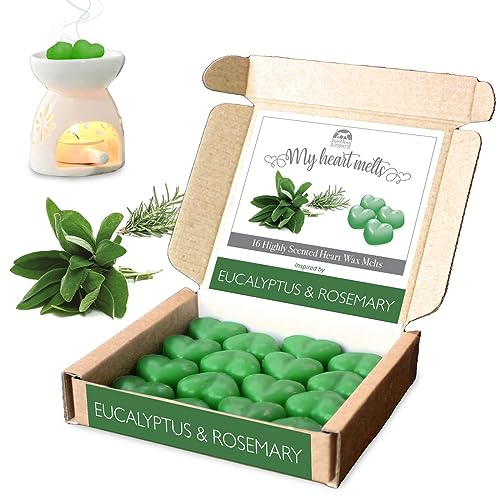 Eukalyptus-Rosmarin-Wachsschmelzen – 16 x 5 g starke Eukalyptus-Rosmarin-Duftwachsschmelzen in einer eleganten Geschenkbox. Spotless Leopard-Geburtstagsgeschenk Eukalyptus-Rosmarin-Wachsschmelzen – 16 x 5 g starke Eukalyptus-Rosmarin-Duftwachsschmelzen in einer eleganten Geschenkbox. Spotless Leopard-Geburtstagsgeschenk von Spotless Leopard