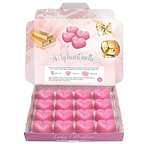 Lady One Million Duftwachswürfel - Duftwachs für Duftlampe Teelicht & Elektrisch, Wax Melts aus Sojawachs, Vegan & Tierfreundlich, Raumduft Duft Wachs Aromatherapie von Spotless Leopard
